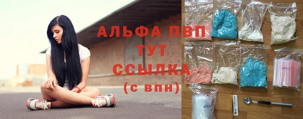 тгк Пересвет