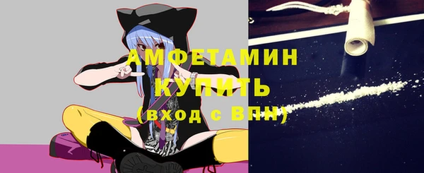 дурь Пестово
