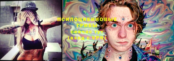 индика Алексеевка