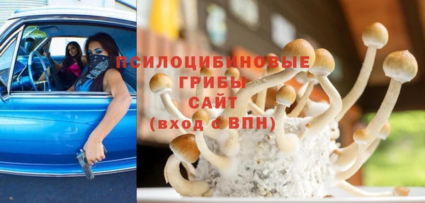 тгк Пересвет