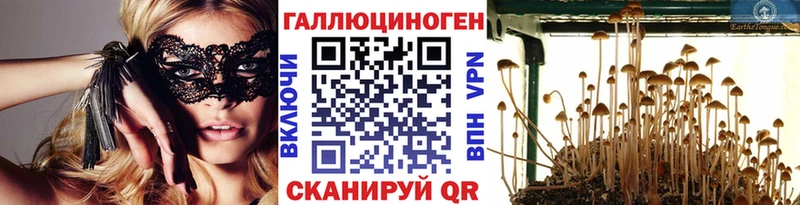даркнет сайт  Киселёвск  Галлюциногенные грибы MAGIC MUSHROOMS 